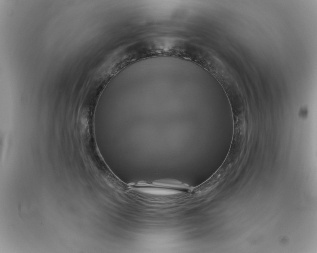 X0000090440754200707272154