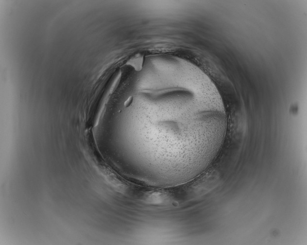 X0000090440755200707272154