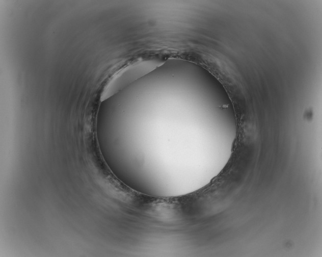 X0000090440756200707272154