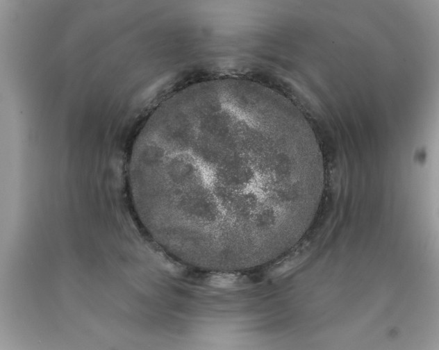 X0000090440757200707272154