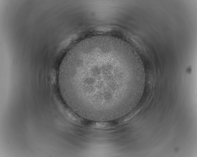 X0000090440758200707272154