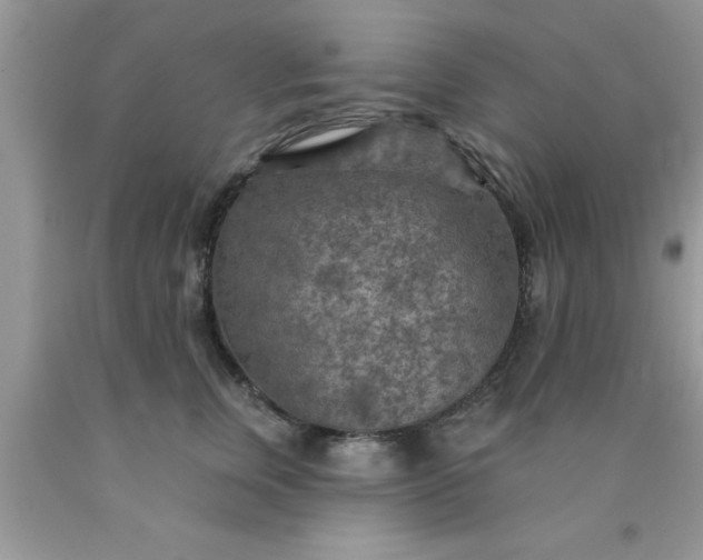 X0000090440759200707272154