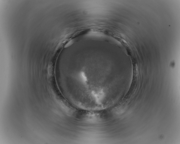 X0000090440760200707272154