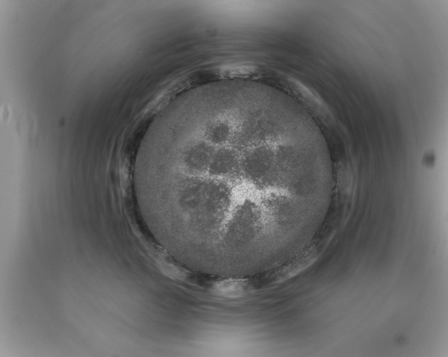 X0000090440761200707272154