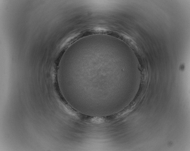 X0000090440762200707272154