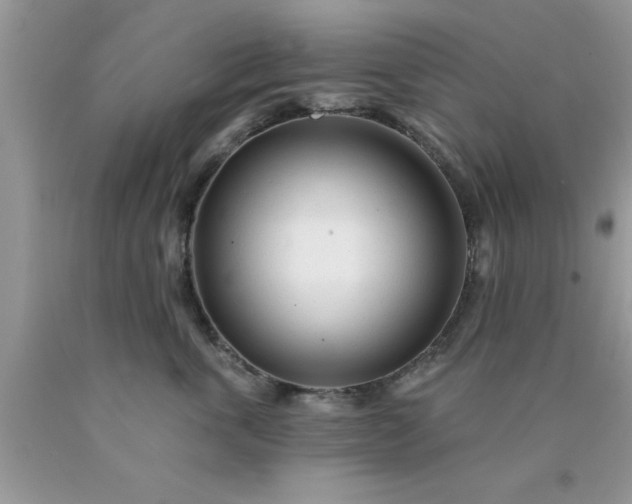 X0000090440763200707272154