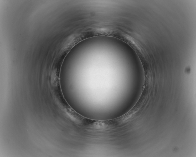 X0000090440764200707272154