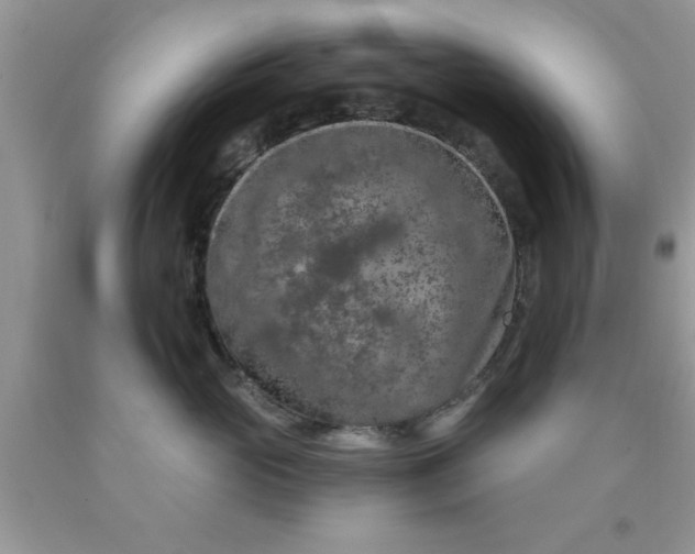 X0000090440765200707272154