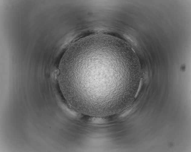 X0000090440766200707272154