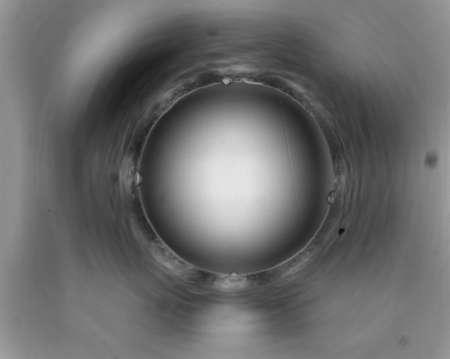 X0000090440767200707272154