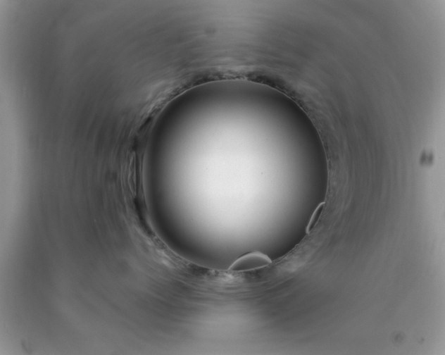 X0000090440768200707272154