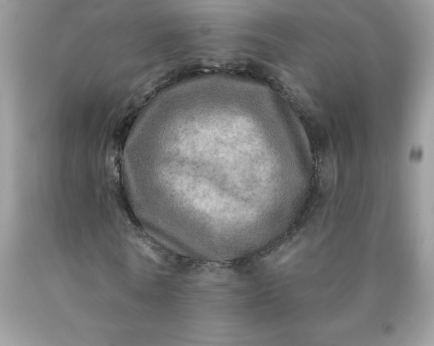 X0000090440770200707272154