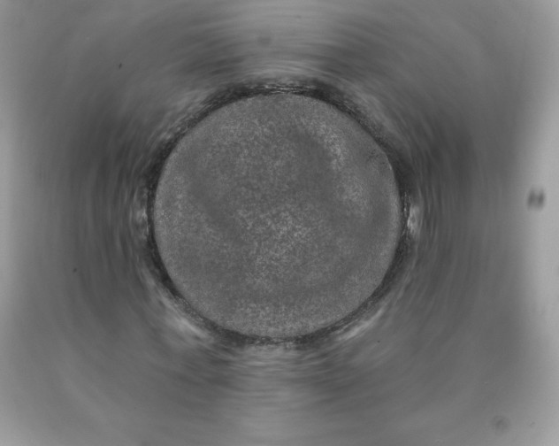 X0000090440771200707272154