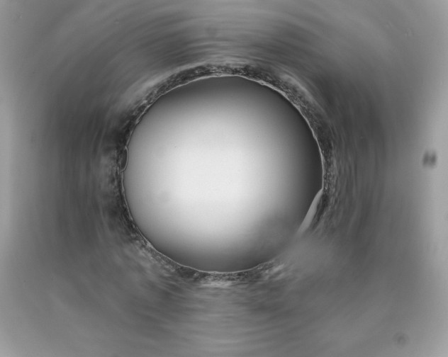 X0000090440773200707272154