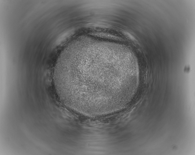 X0000090440774200707272154