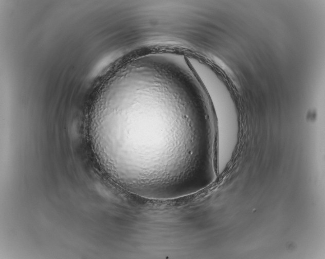 X0000090440775200707272154