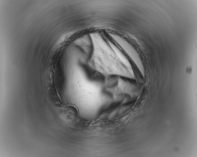 X0000090440776200707272153