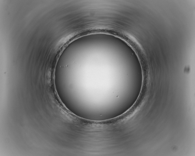 X0000090440777200707272153