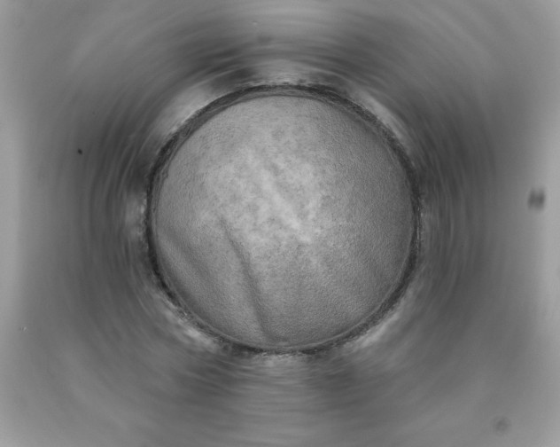 X0000090440778200707272153