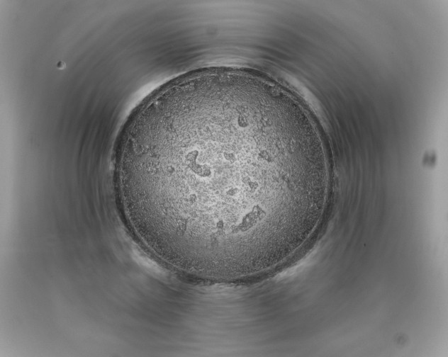 X0000090440779200707272153