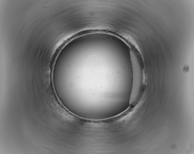 X0000090440781200707272153