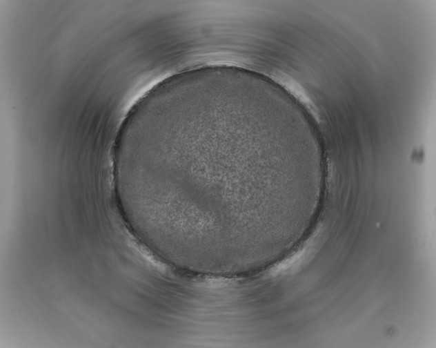 X0000090440782200707272153