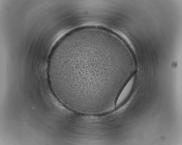 X0000090440783200707272153