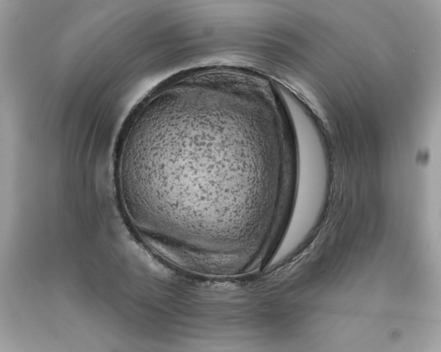 X0000090440784200707272153