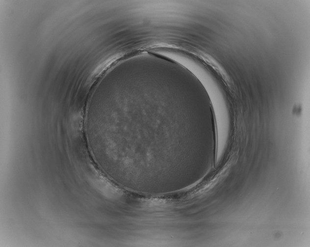 X0000090440785200707272153