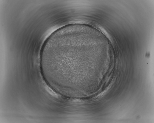 X0000090440787200707272153