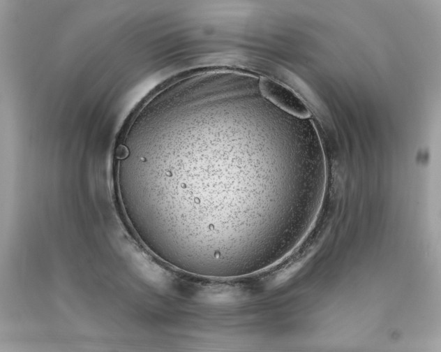 X0000090440788200707272153