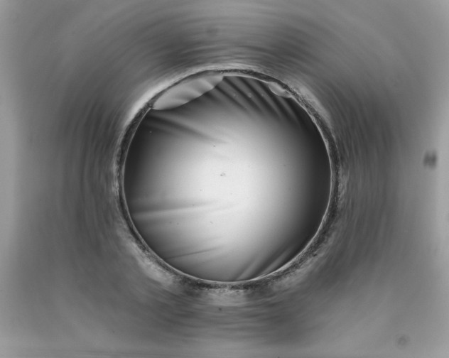 X0000090440789200707272153