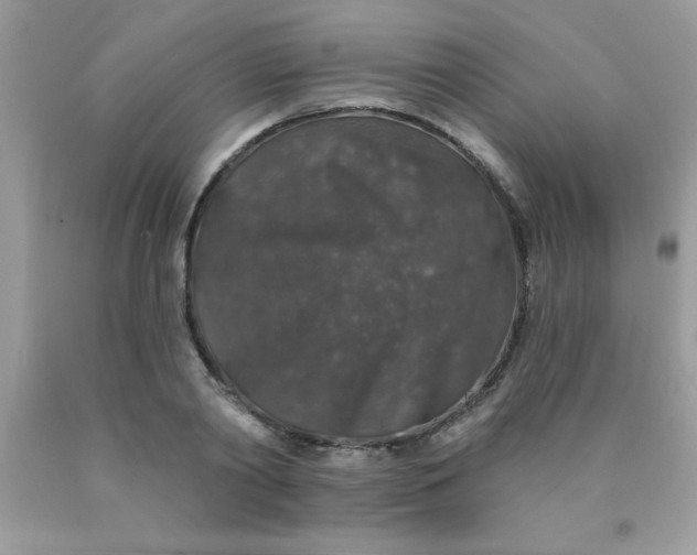 X0000090440790200707272153