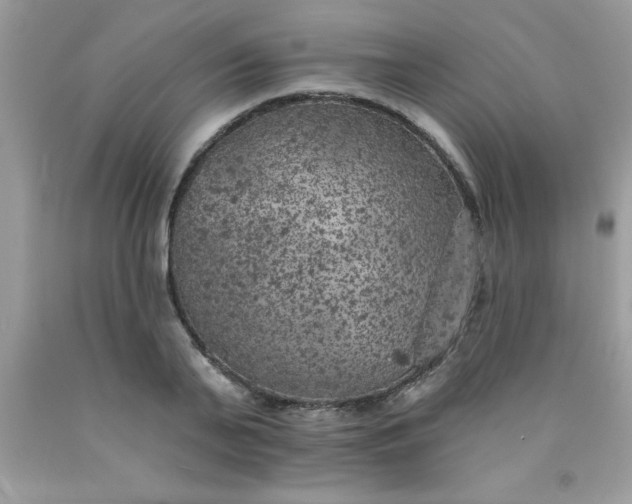 X0000090440791200707272153