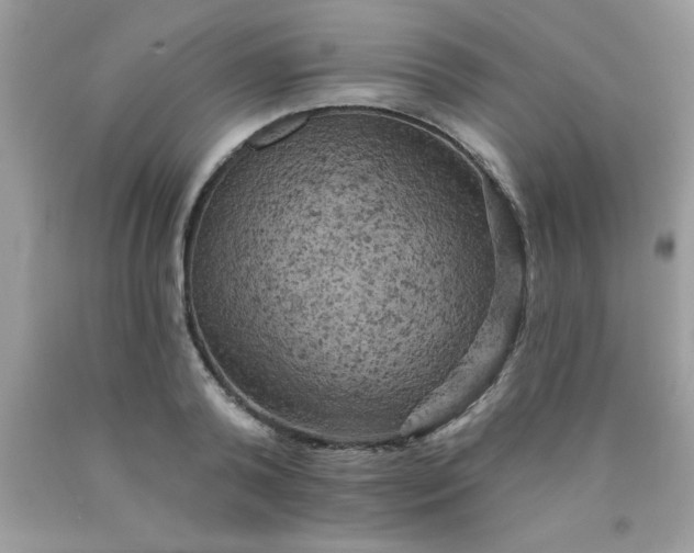 X0000090440792200707272153