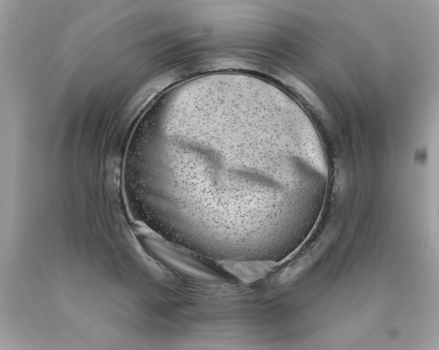 X0000090440793200707272153