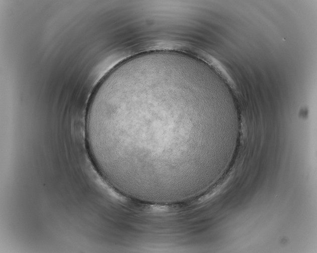 X0000090440794200707272153