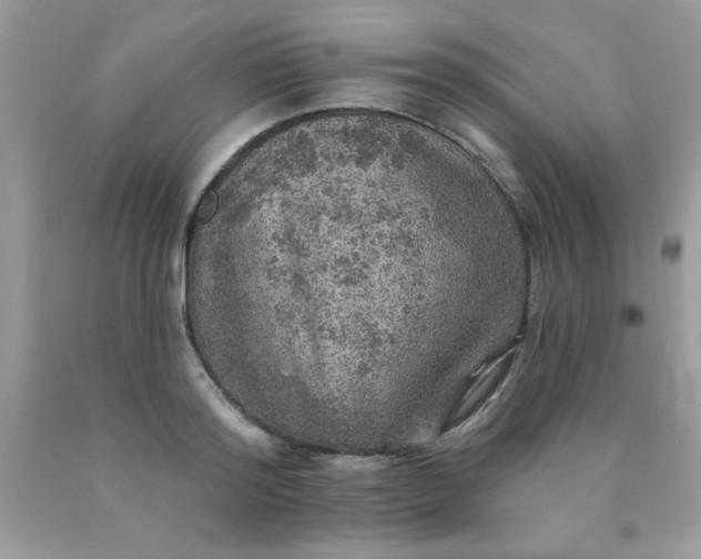 X0000090440796200707272153