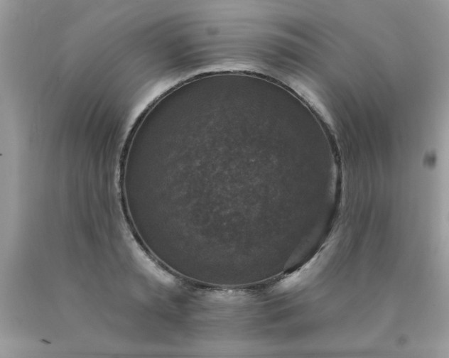 X0000090440797200707272153