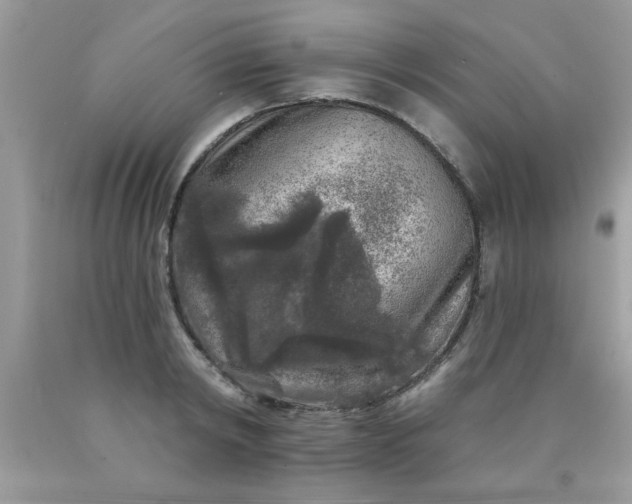 X0000090440798200707272153