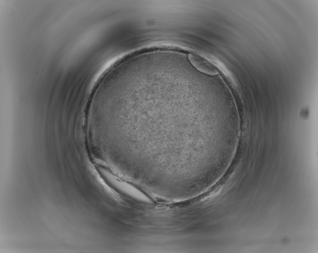 X0000090440799200707272153