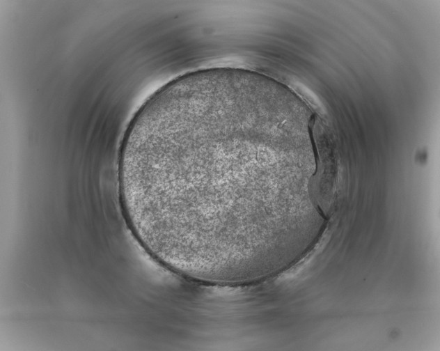 X0000090440800200707272153