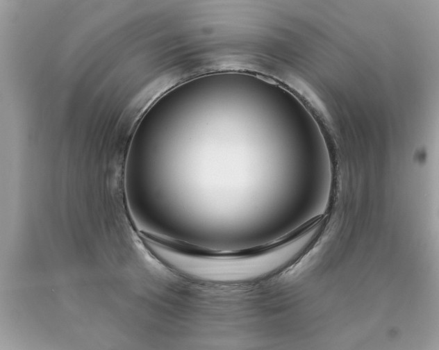 X0000090440801200707272153