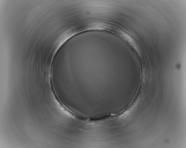 X0000090440802200707272153