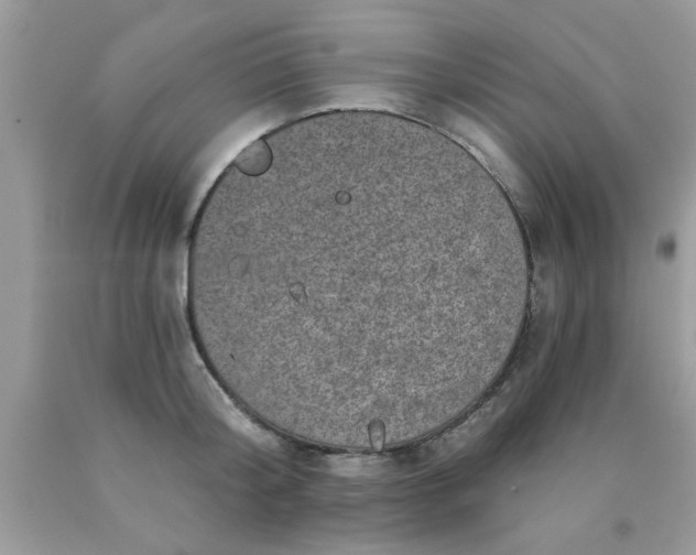 X0000090440804200707272153