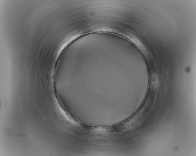 X0000090440806200707272153