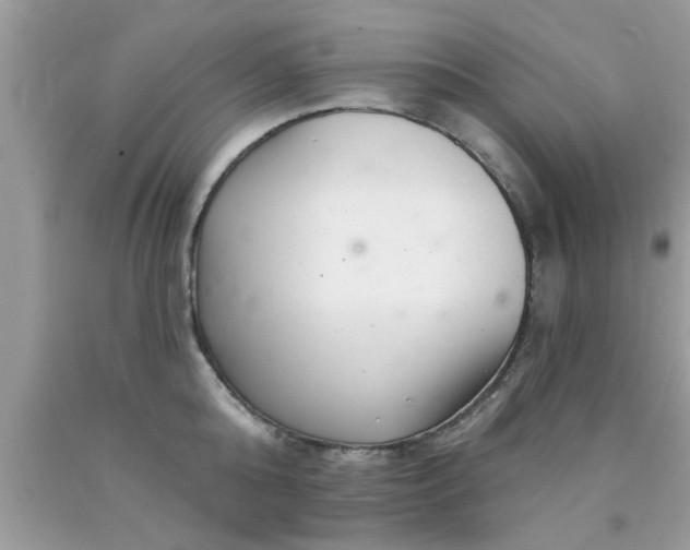 X0000090440808200707272153