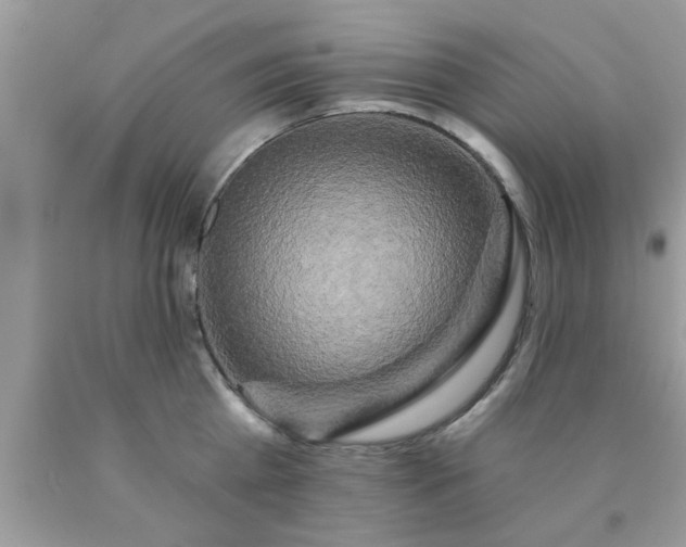 X0000090440809200707272153