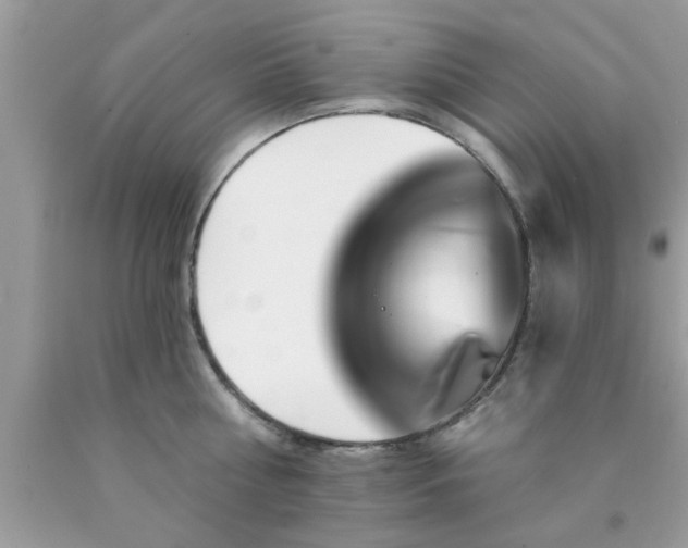 X0000090440810200707272153