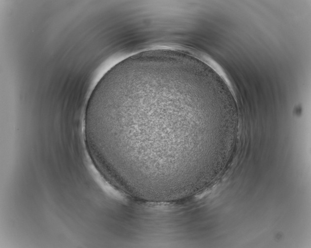 X0000090440811200707272153